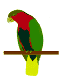 Download free parrots animated gifs 16