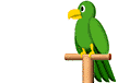 Download free parrots animated gifs 11