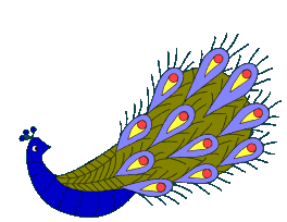 animated gifs peacocks