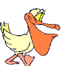 animated gifs pelicans