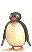 Download free penguins animated gifs 11