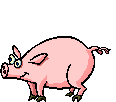 Download free pigs animated gifs 3