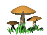 Download free mushrooms animated gifs 18