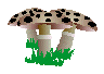 Download free mushrooms animated gifs 12