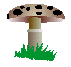 Download free mushrooms animated gifs 11