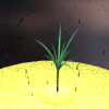 Download free plants animated gifs 9