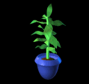 animated gifs plants