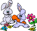 animated gifs rabbits