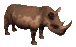 Download free rhinos animated gifs 14