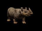 Download free rhinos animated gifs 13