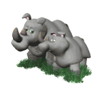 Download free rhinos animated gifs 10