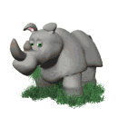 animated gifs rhinos
