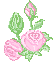Download free roses animated gifs 25