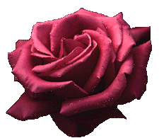 Download free roses animated gifs 3