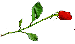 Download free roses animated gifs 2