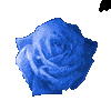 Download free roses animated gifs 1