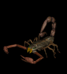 animated gifs scorpions