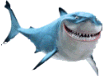 Download free sharks animated gifs 9