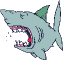 animated gifs sharks
