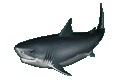 Download free sharks animated gifs 1