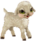Download free sheeps animated gifs 18