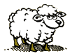 Download free sheeps animated gifs 17