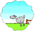 Download free sheeps animated gifs 7