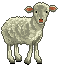 Download free sheeps animated gifs 3