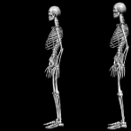 Download free skeletons animated gifs 12