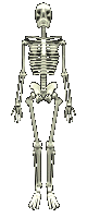 Download free skeletons animated gifs 8