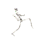 Download free skeletons animated gifs 6