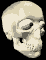 Download free skulls animated gifs 24