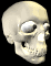 Download free skulls animated gifs 21