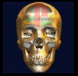 Download free skulls animated gifs 18