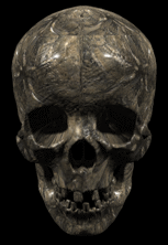 Download free skulls animated gifs 11