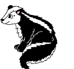 animated gifs skunks