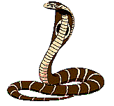 Download free snakes animated gifs 13