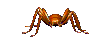 Download free spiders animated gifs 12