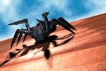 Download free spiders animated gifs 13