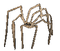 Download free spiders animated gifs 7