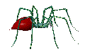 Download free spiders animated gifs 27