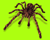 Download free spiders animated gifs 24