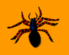 Download free spiders animated gifs 23