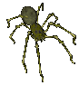 Download free spiders animated gifs 5