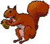 Download free squirrels animated gifs 13