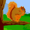 Download free squirrels animated gifs 6