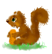 Download free squirrels animated gifs 4