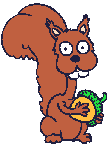 animated gifs squirrels
