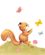 Download free squirrels animated gifs 8