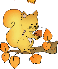 Download free squirrels animated gifs 6